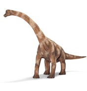 Brachiosaurus 1:40 Scale
