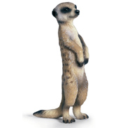 Schleich Meerkat Standing