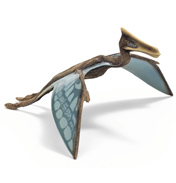 Quetzalcoatlus 1:40 Scale