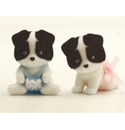 Border Collie Twin Babies