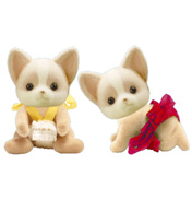 Chihuahua Twins
